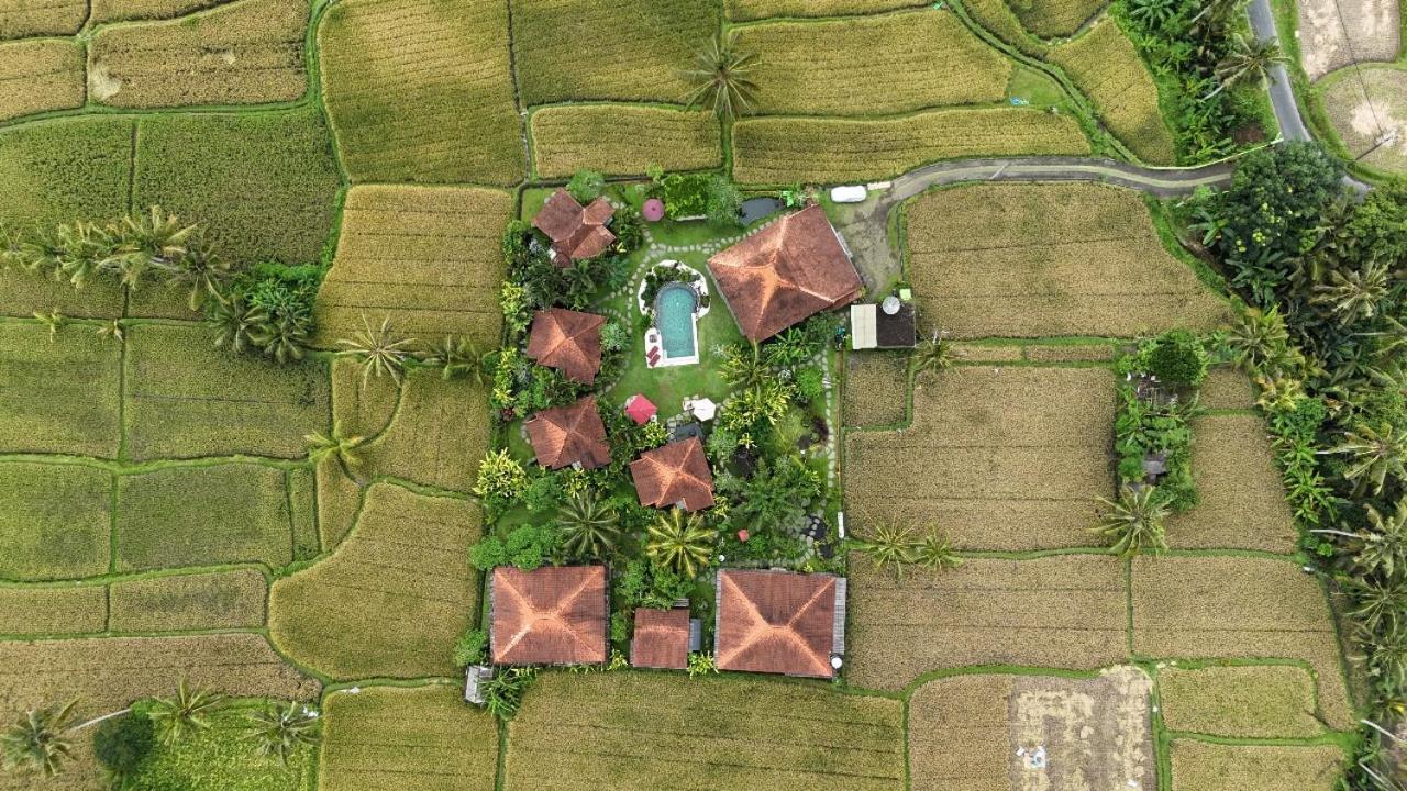 Bali Sawah Indah Hotel อูบุด ภายนอก รูปภาพ