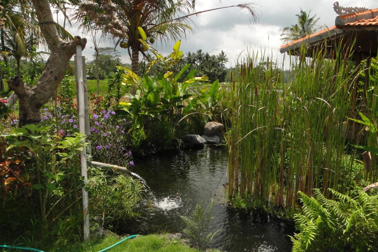 Bali Sawah Indah Hotel อูบุด ภายนอก รูปภาพ