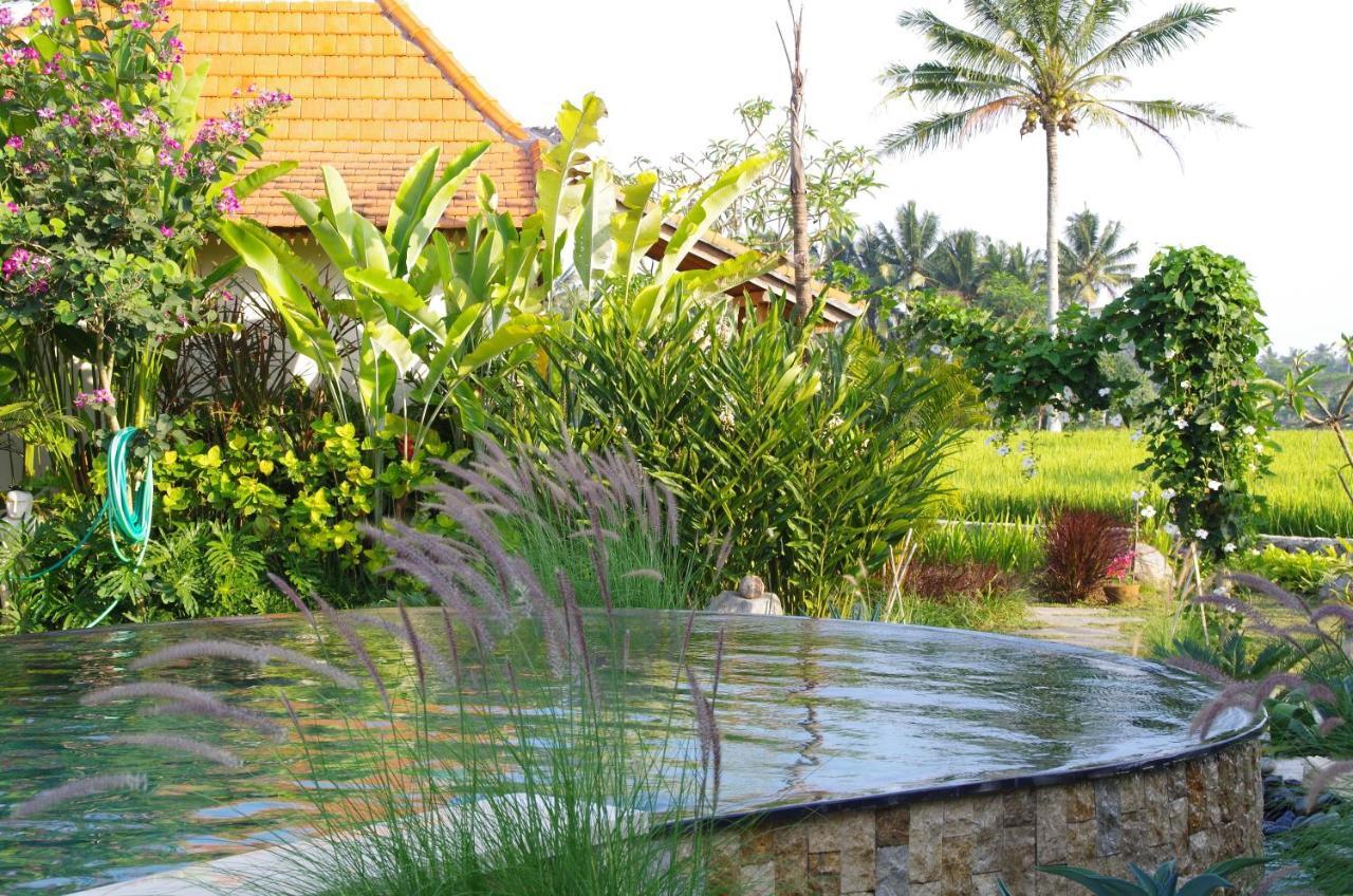Bali Sawah Indah Hotel อูบุด ภายนอก รูปภาพ