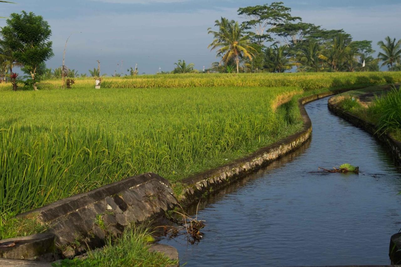 Bali Sawah Indah Hotel อูบุด ภายนอก รูปภาพ